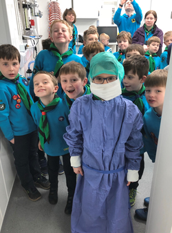 Malmesbury Beavers at The George Veterinary Hospital